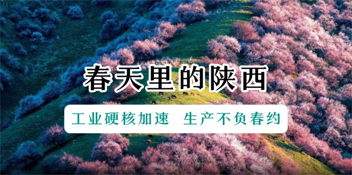 未标题-1.jpg